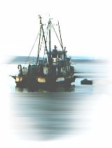 Traditional Monterey Fishing Boat